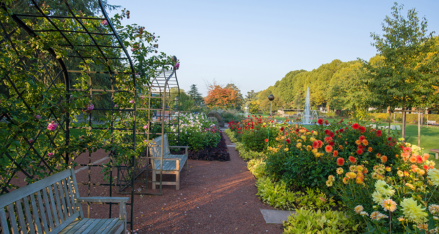 Rosengarten Zweibrücken, Anna Wojtas